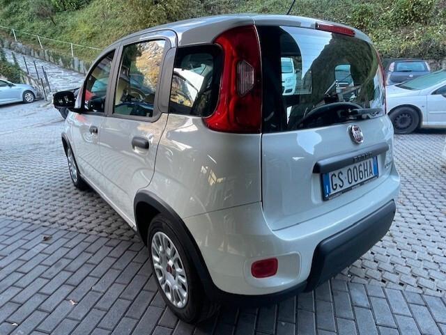 Fiat Panda 1.0 FireFly S&S Hybrid 2024