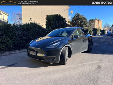 Tesla Model Y Performance #8327