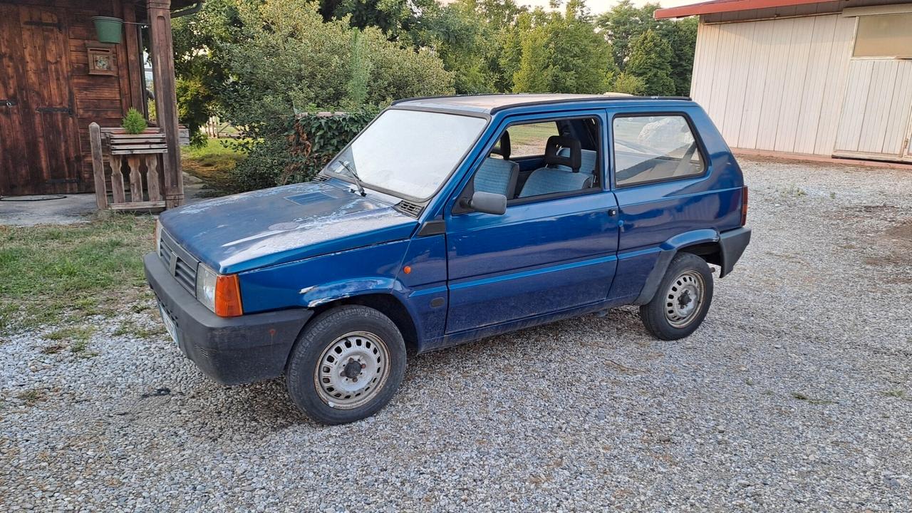 Fiat Panda 900i cat