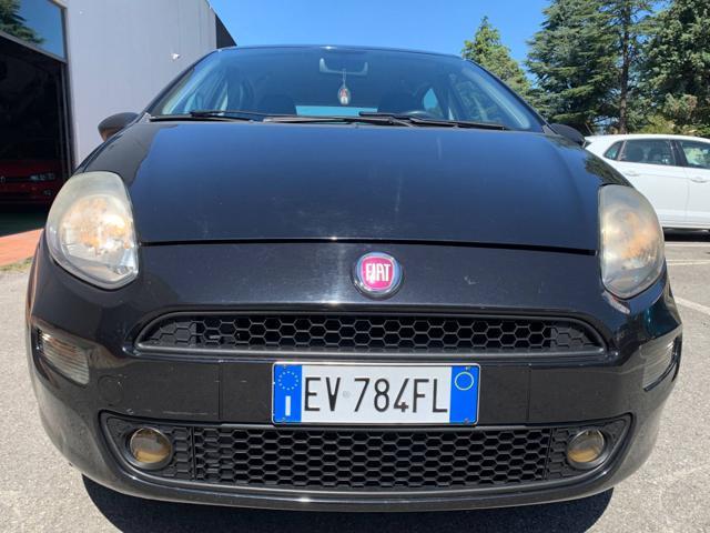 FIAT Punto 1.2 8V 5 porte Lounge