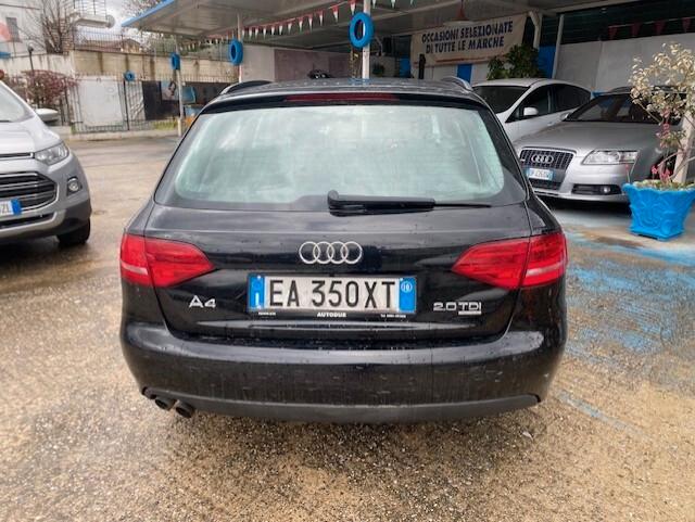 Audi A4 Avant 2.0 TDI 170CV F.AP. qu. Amb.