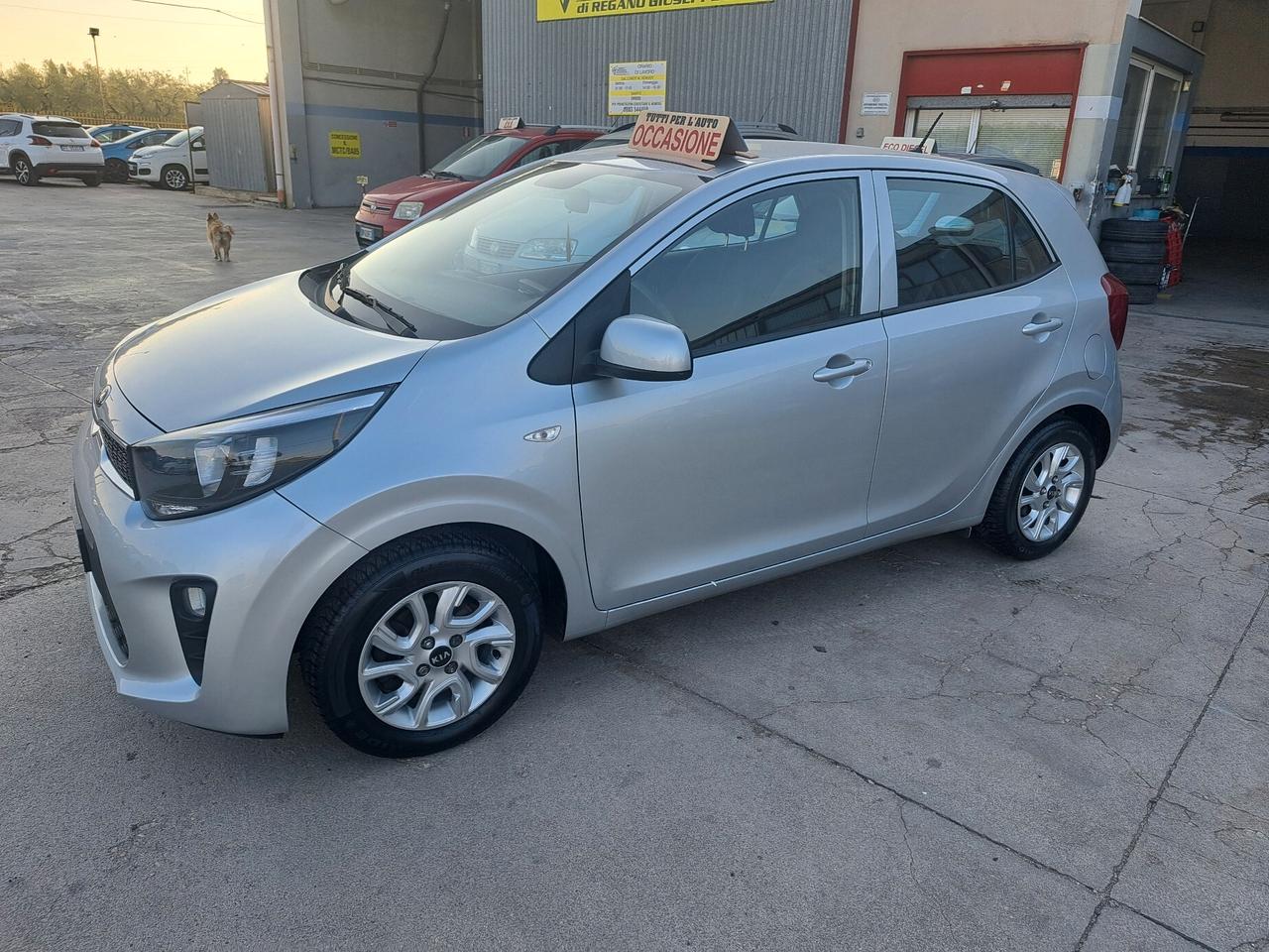 Kia Picanto 1.0 BENZINA - 2018