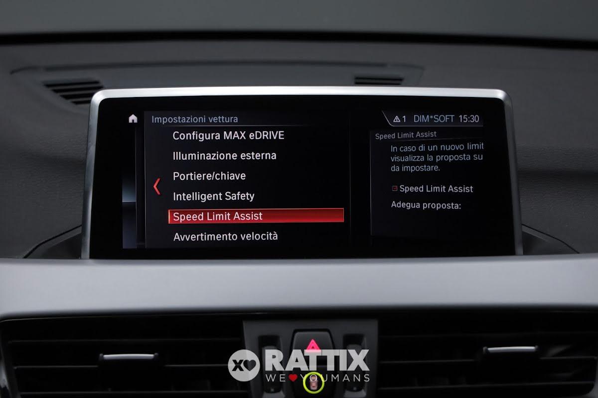 BMW X1 1.5 125CV Business Advantage xDrive25e Auto