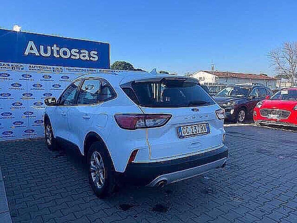 FORD Kuga 1.5 EcoBlue 120 CV 2WD Titanium Business del 2020