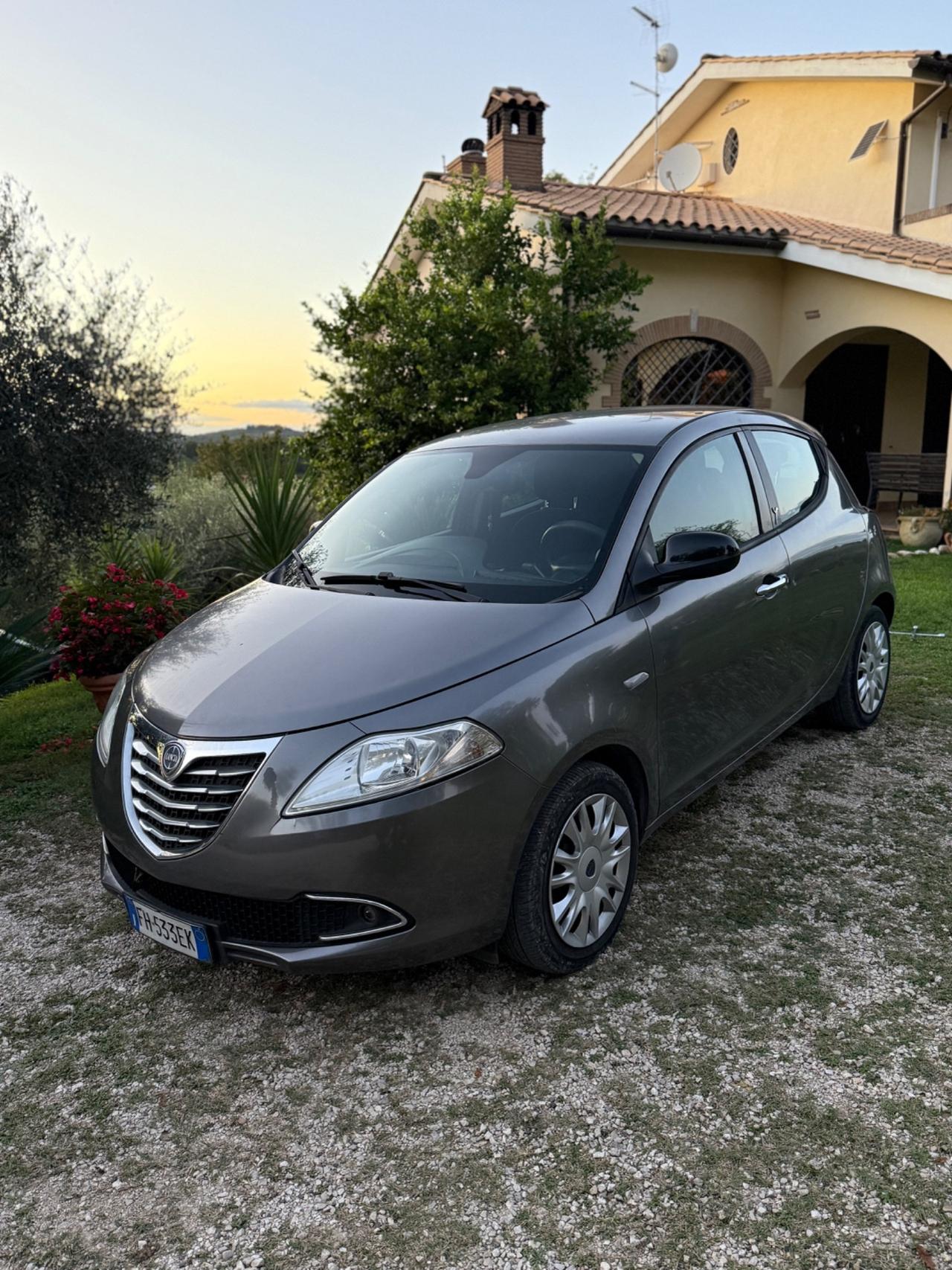 Lancia Ypsilon 1.2 69 CV 5 porte S&S Platinum