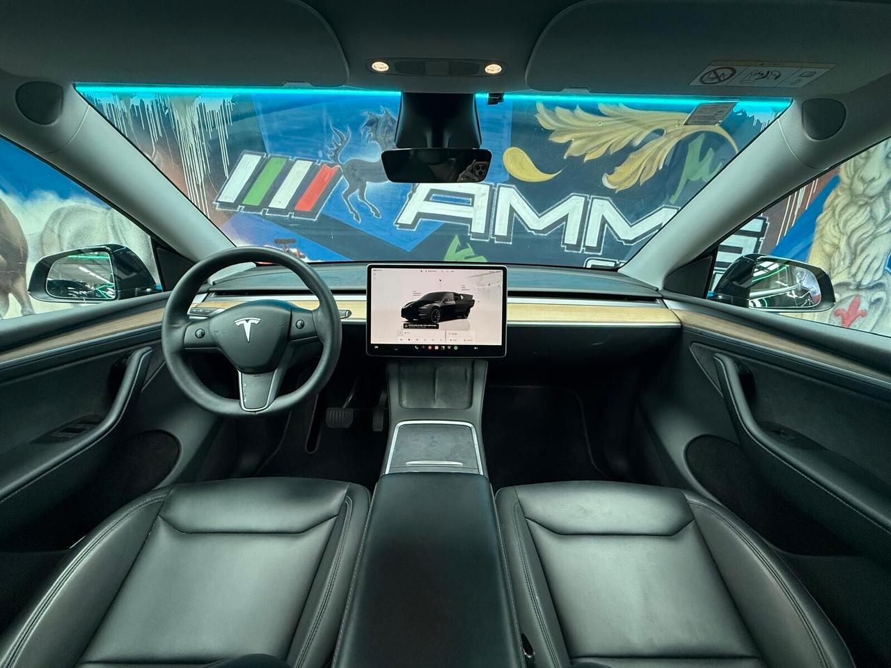 Tesla Model Y Long Range AWD (629)