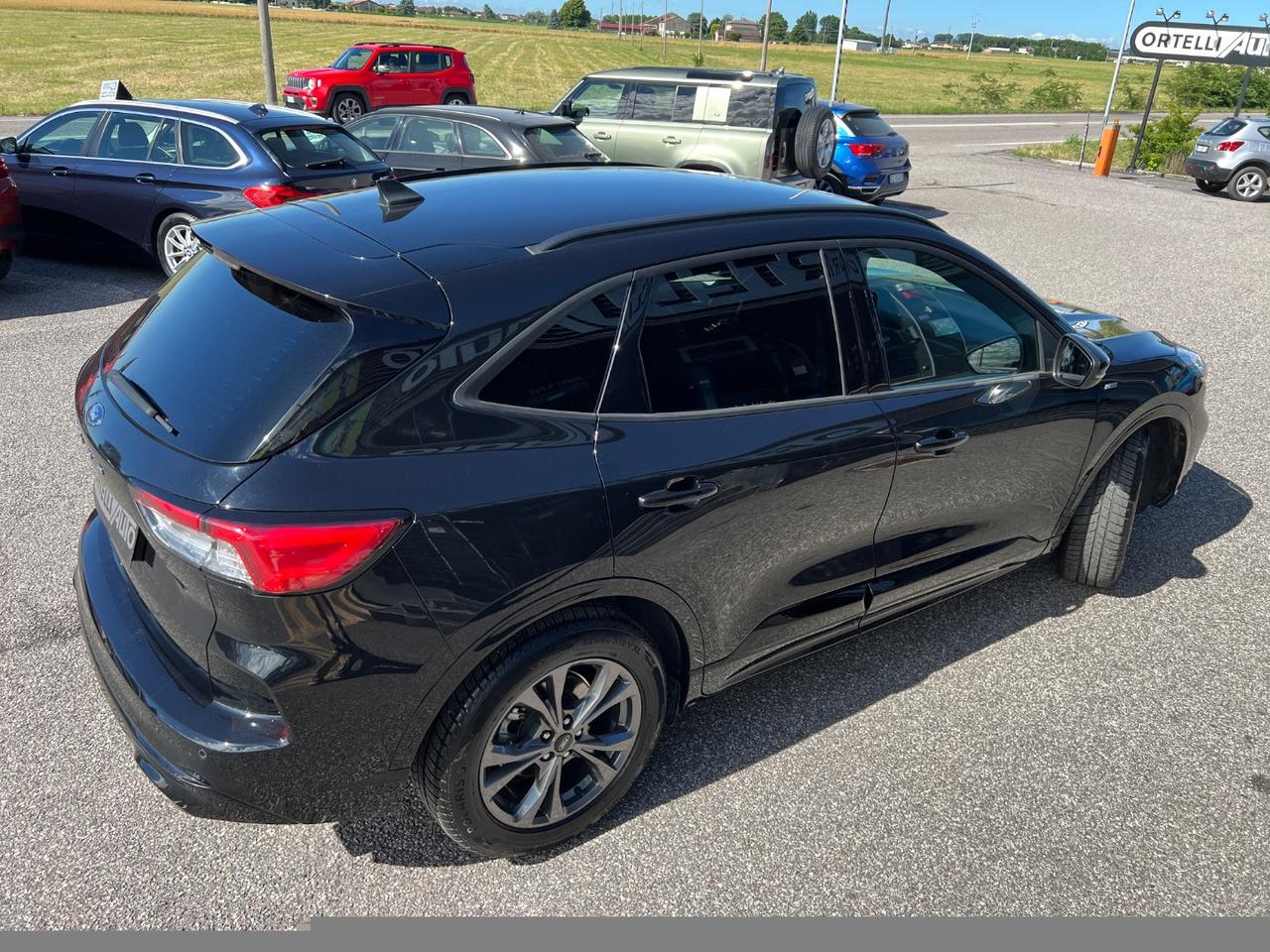 Kuga 1.5 EcoBlue 120 CV aut. 2WD ST-Line N1 AUTOCARRO