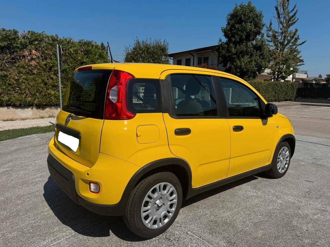 Fiat Panda 1.0 FireFly S&S Hybrid Pandina- 1.516 KM – 2024