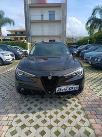 Alfa Romeo Stelvio 2.2 Turbodiesel 210 CV AT8 Q4 Executive palette al volante