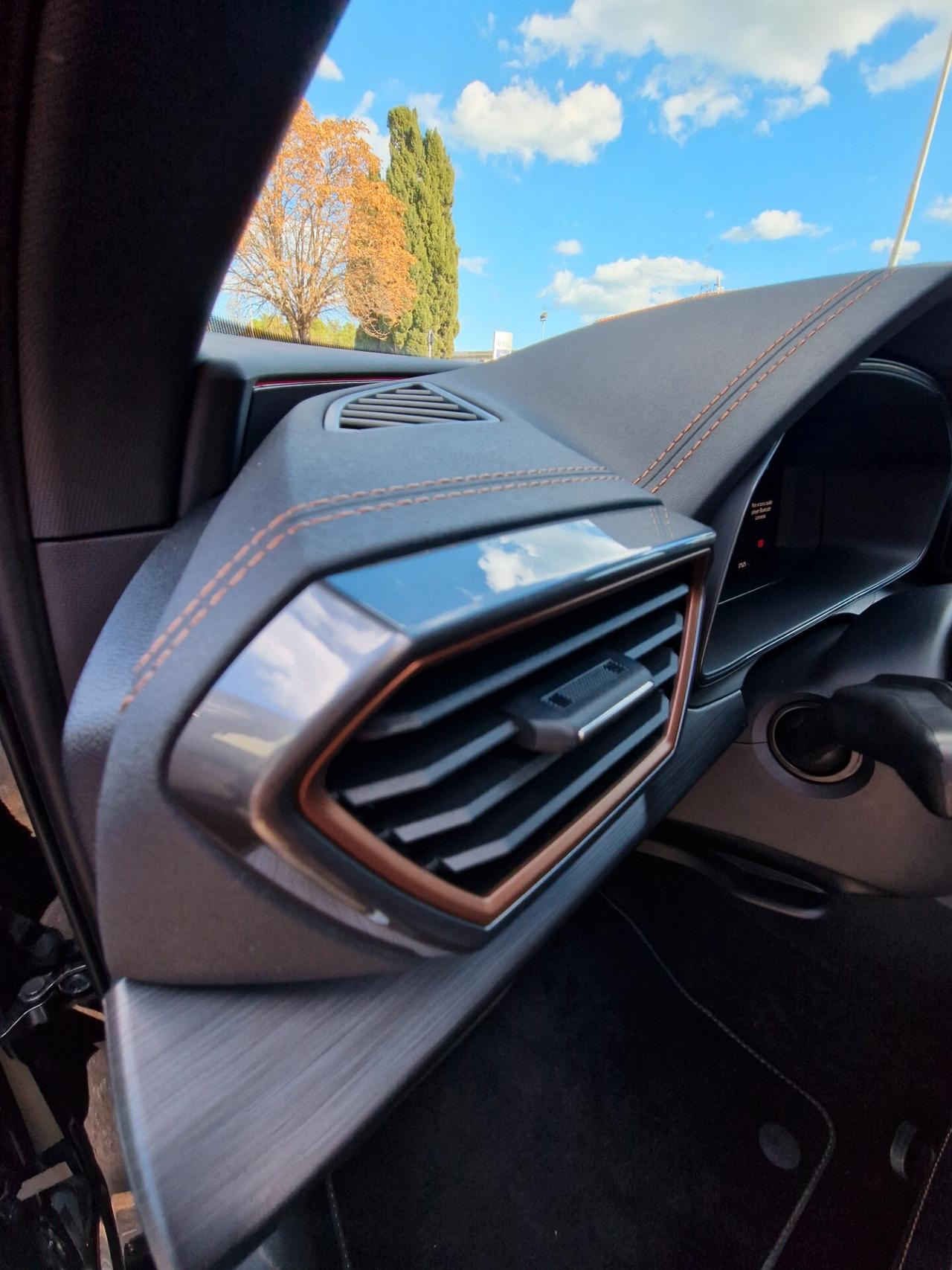 Cupra Formentor 2.0 TDI 4x4 DSG garanzia ufficiale