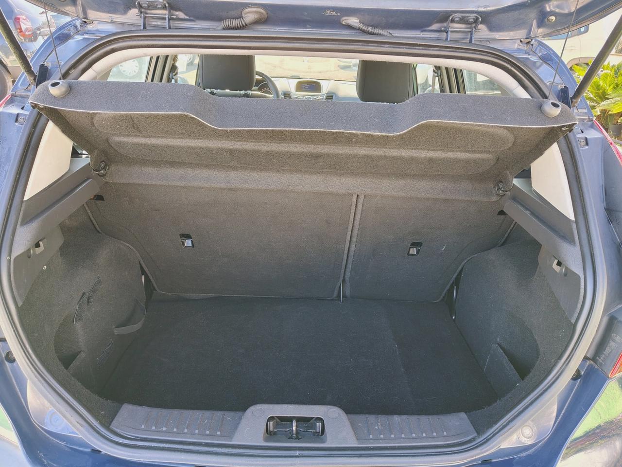 Ford Fiesta 1.5 TDCi 75CV 5 porte Black & White Edition - 2015