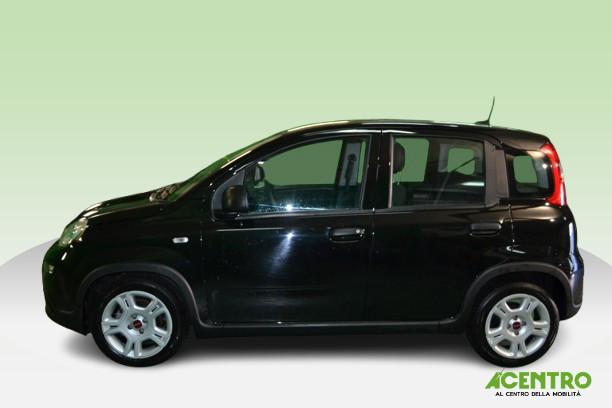 FIAT PANDA - 1.0 70CV HYBRID