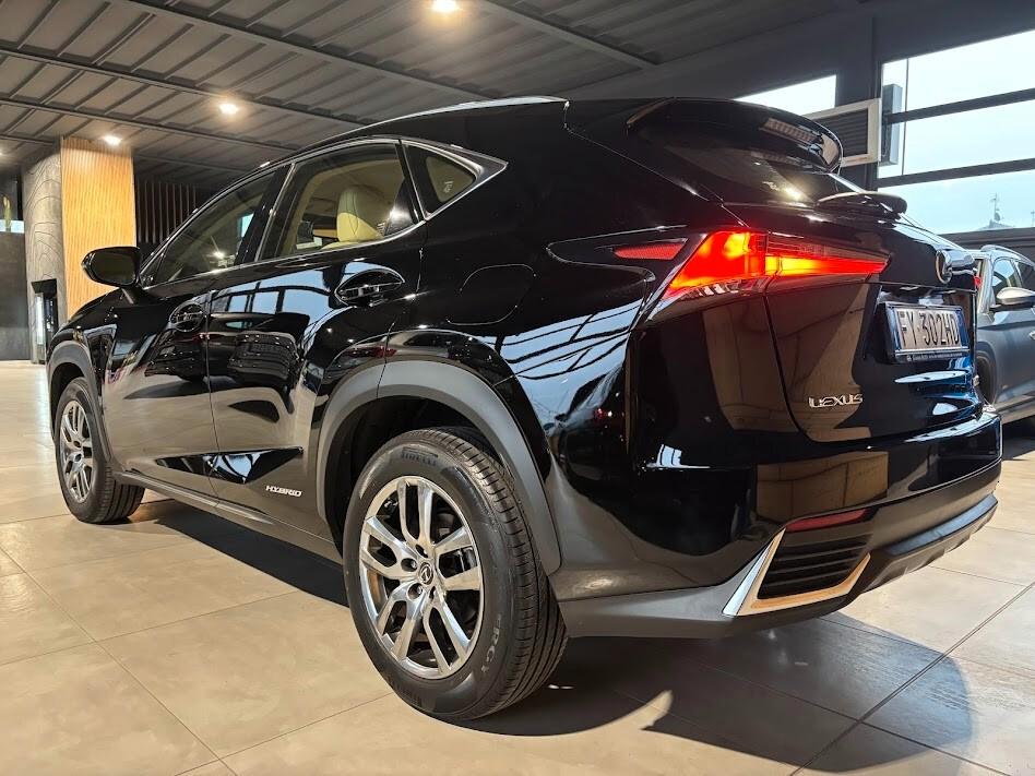 Lexus NX 300h Hybrid 4WD Executive 155cv