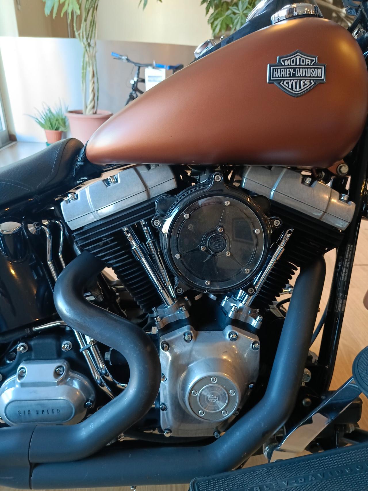 Harley-davidson FLSTSB Softail Cross Bones