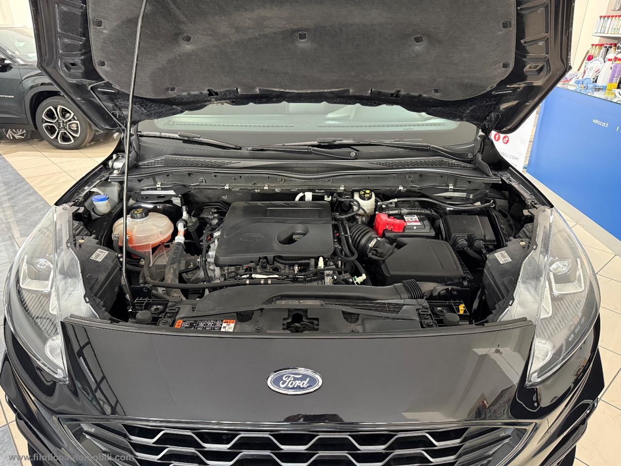 FORD Kuga 1.5 EcoBoost 150 CV 2WD ST-Line FULL KM 42.300 FULL OPTIONAL EURO 6