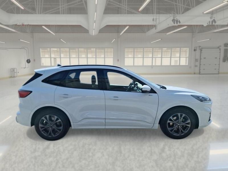 FORD KUGA 2.0 ECOBLUE 120 CV 2WD ST-LINE AUTO SUV