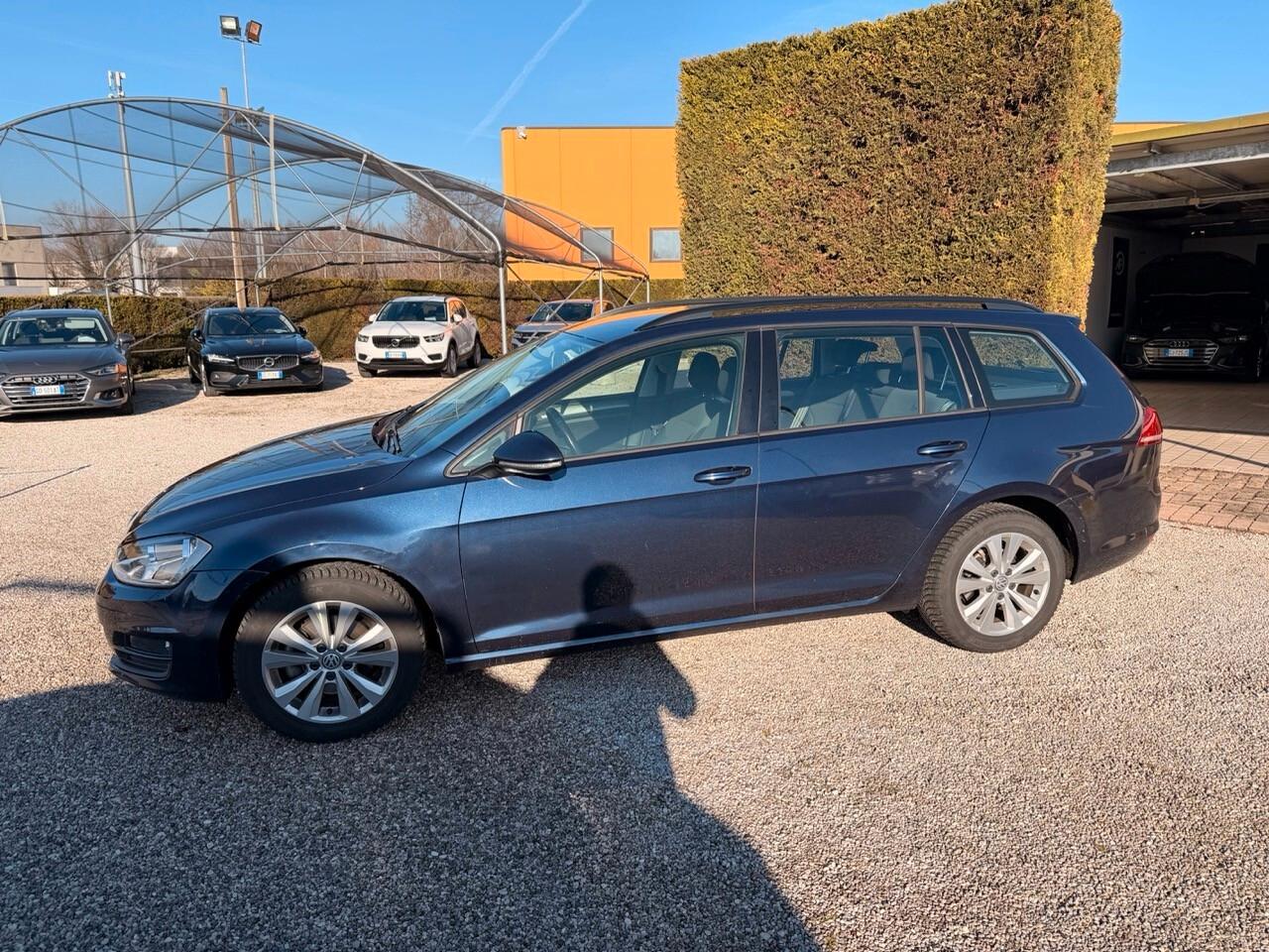 Volkswagen Golf Variant 1.6 tdi Business 110cv