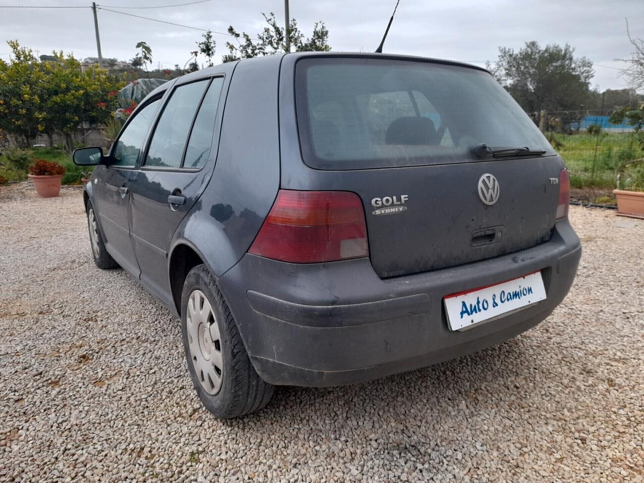 Volkswagen Golf 1.9 TDI/110 CV cat 5p. Comfortline