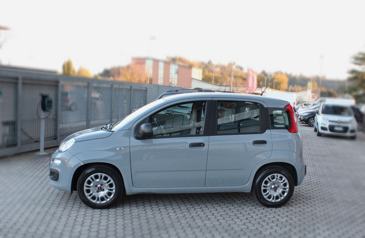 Fiat Panda 1.0 FireFly S&S Hybrid-OK NEOPATENTATI