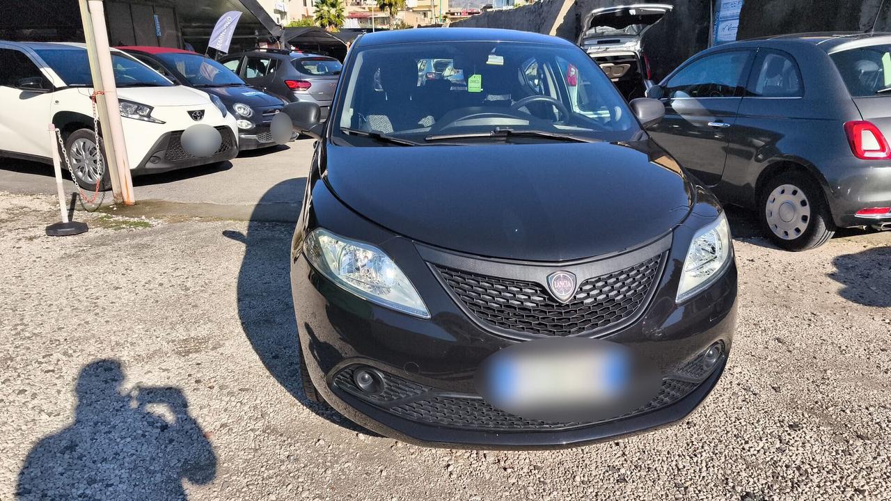 Lancia Ypsilon 1.2 69 CV 5 porte GPL 2018 USATO