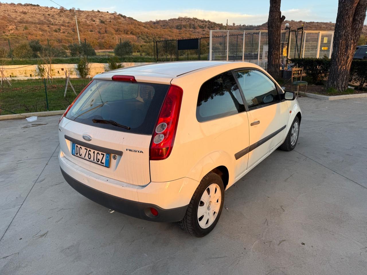 Ford Fiesta 1.4 TDCi 3p. Van