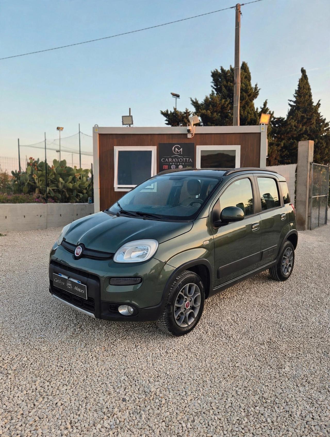 Fiat Panda 1.3 MJT 4x4 van 2 posti