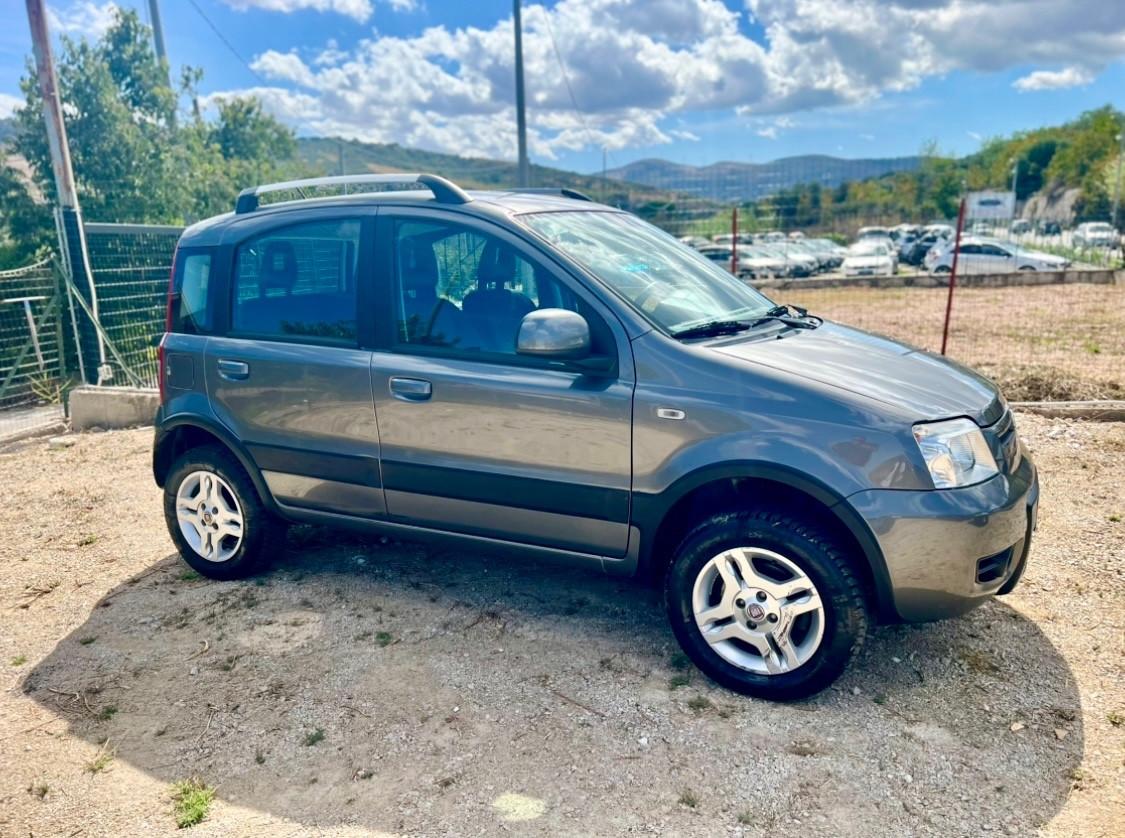 Fiat Panda 1.3 MJT 16V DPF 4x4 Climbing