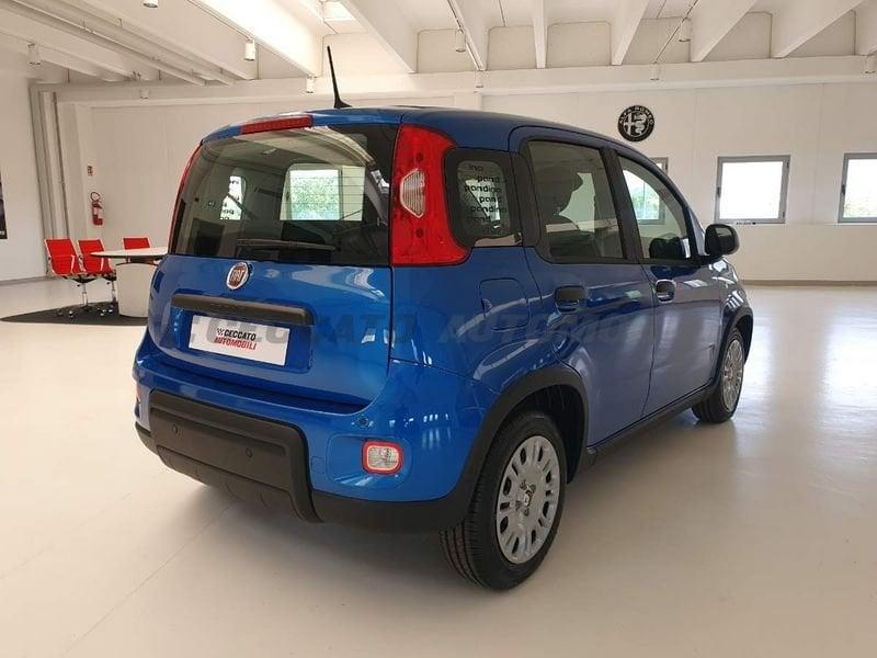 FIAT Panda Panda 1.0 70cv Hybrid Panda