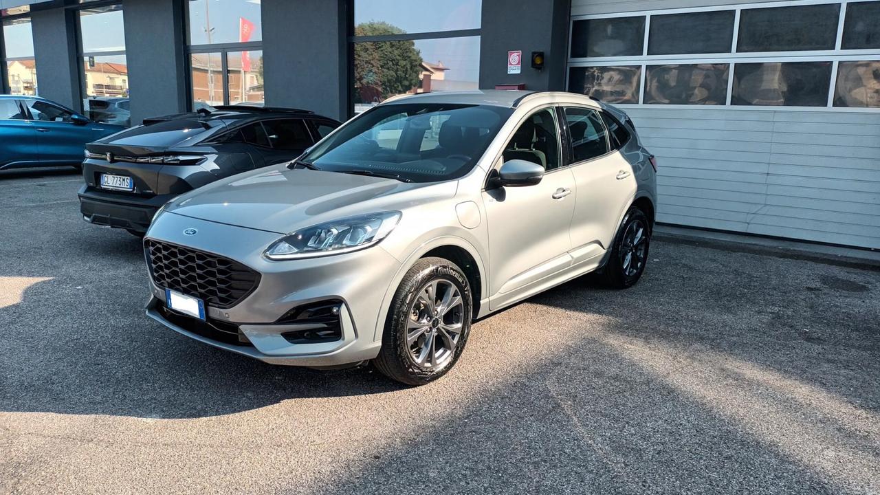 FORD Kuga 3ª serie - Kuga 2.5 Plug In Hybrid 225 CV CVT 2WD ST-Line