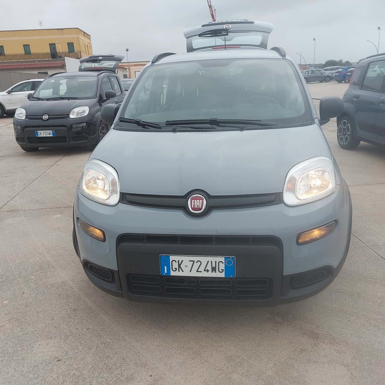 Fiat Panda 1.0 FireFly S&S Hybrid