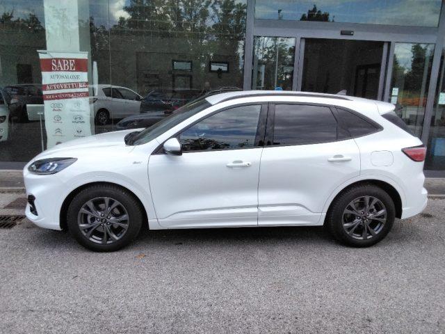 FORD Kuga 1.5 EcoBlue 120 CV 2WD ST-Line