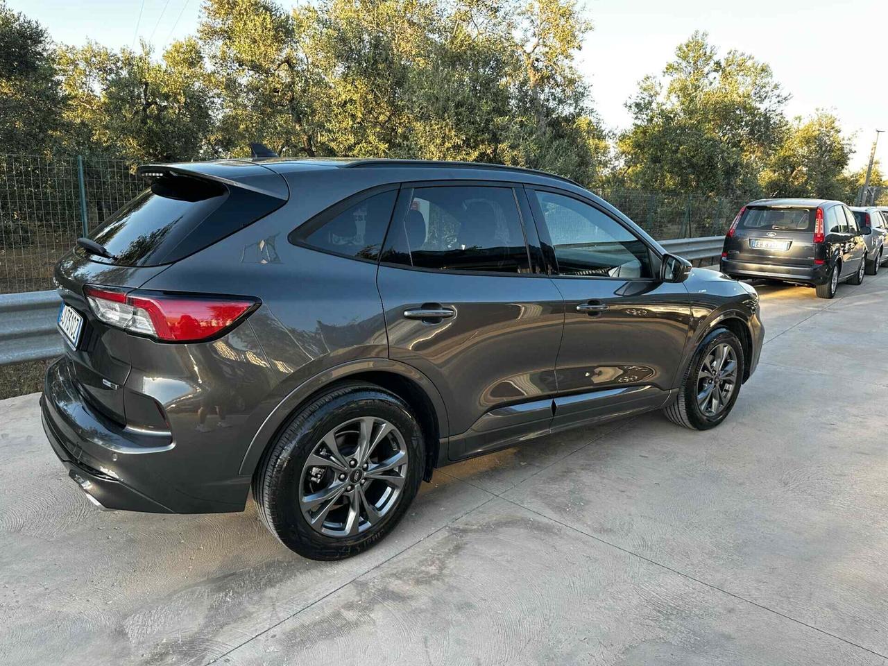 Ford Kuga 2.0 EcoBlue Hybrid 150 CV 2WD ST-Line