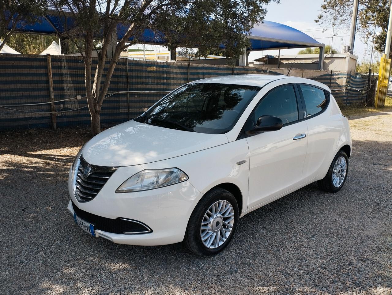 Lancia Ypsilon 1.3 MJT 16V 95 CV 5 porte S&S Platinum