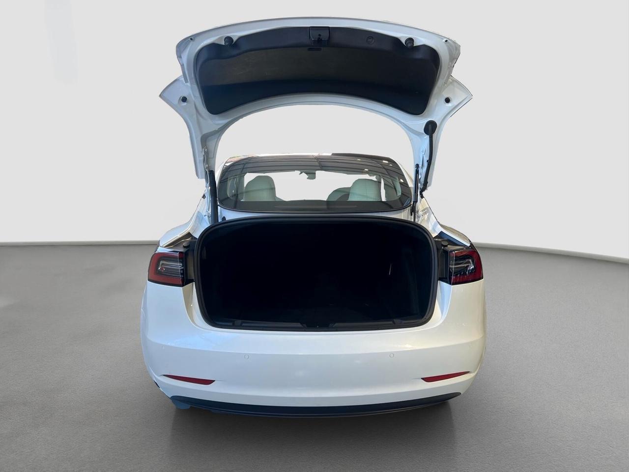 Tesla Model 3 Model 3 Long Range Dual Motor AWD