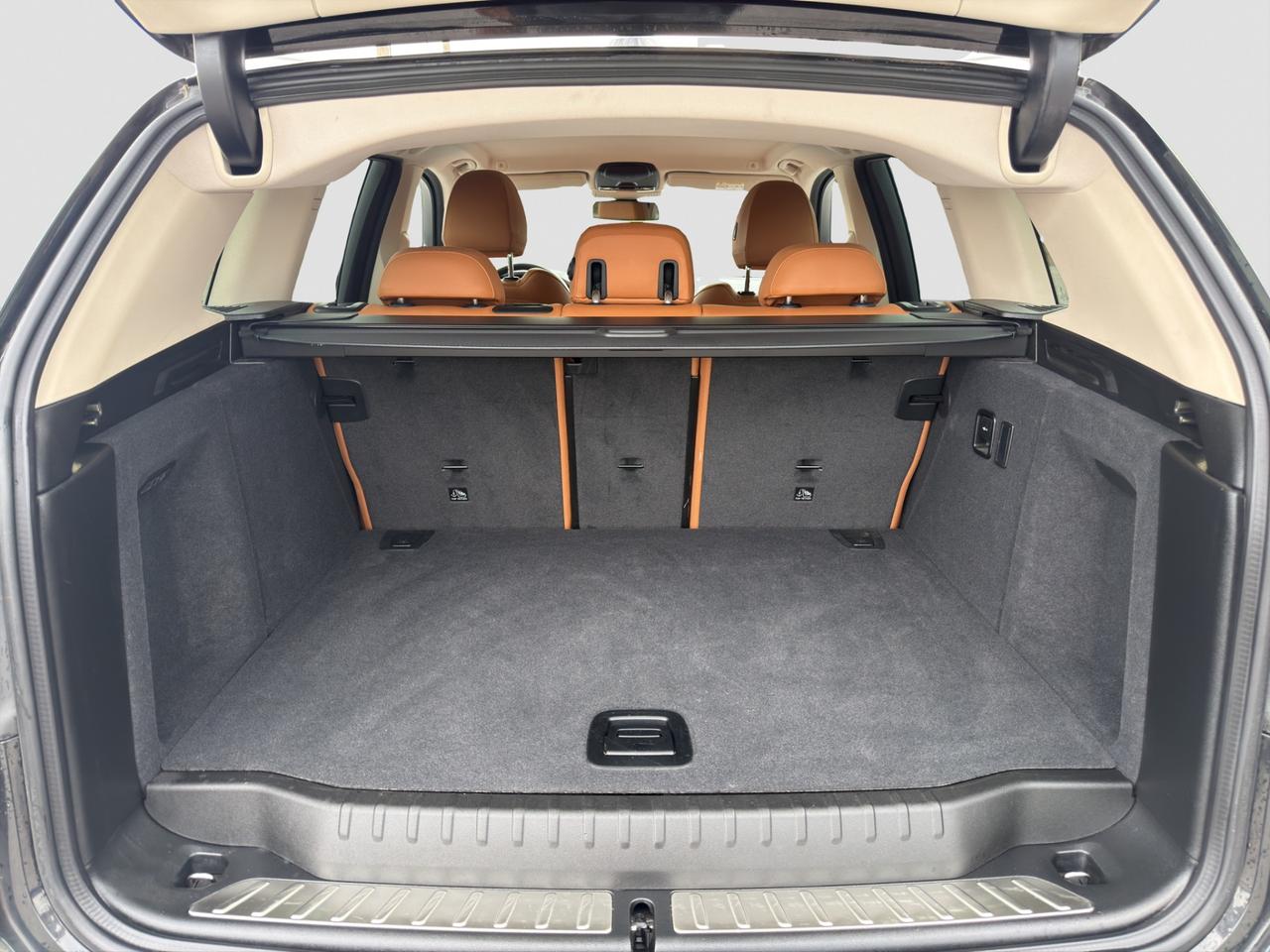 BMW X3 (G01) X3 sDrive18d 48V