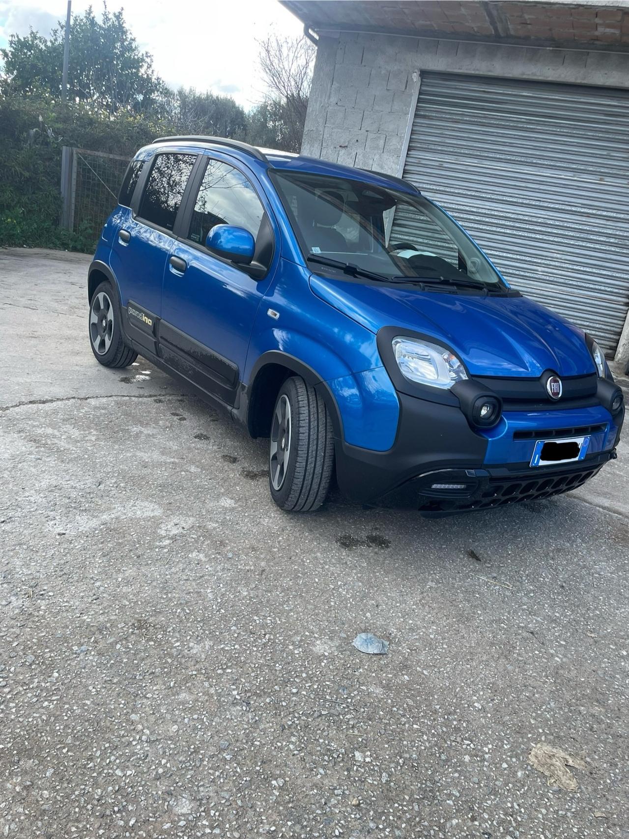 Fiat Panda Cross 1.0 FireFly S&S Hybrid