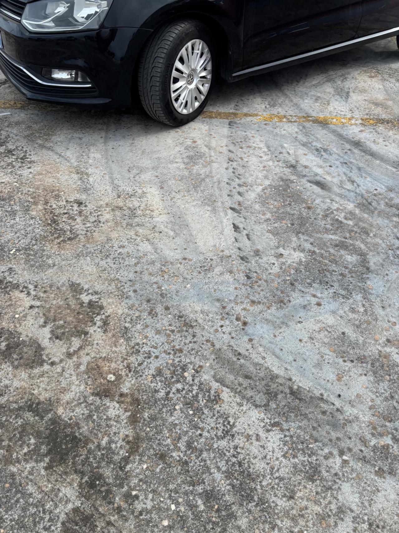 Volkswagen Polo 1.4 TDI 5p. Trendline