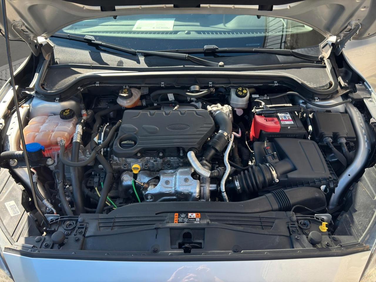 Ford Focus 1.5 EcoBlue 120 CV SW Business