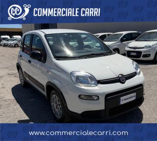 FIAT PANDA VAN 1.0 HYBRID 4 POSTI STREET - 2022