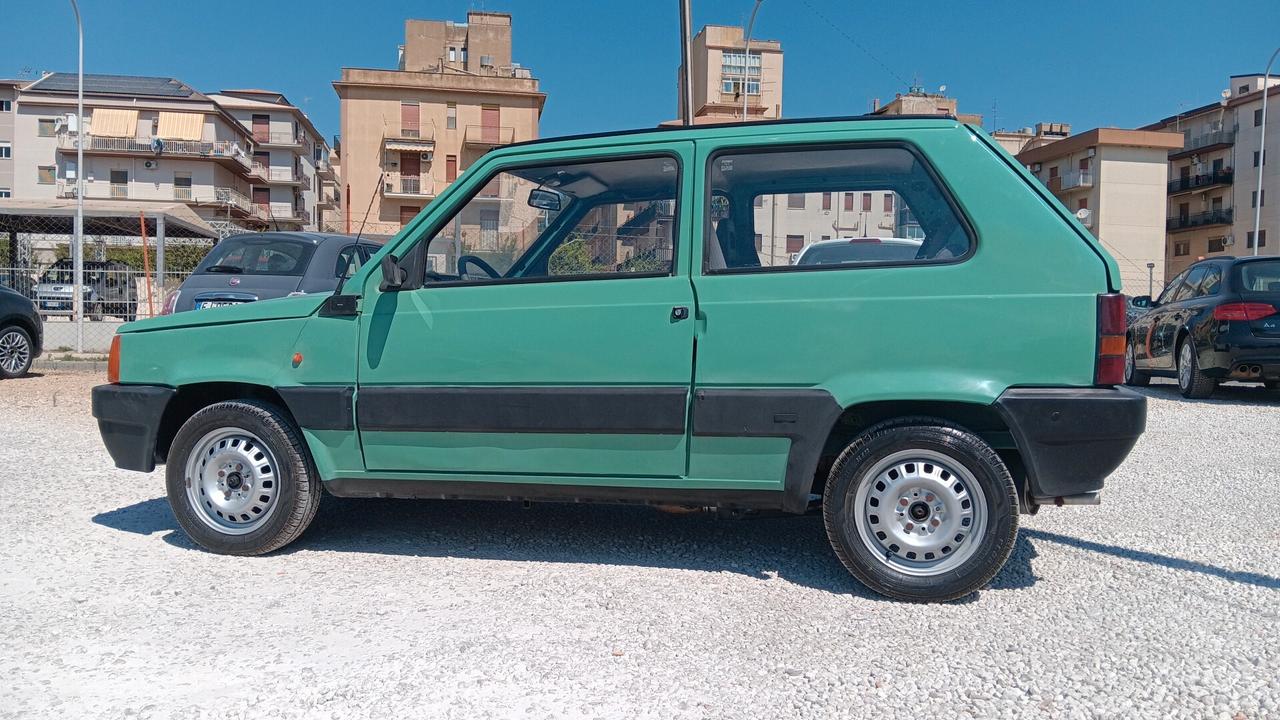 Fiat Panda 900 i.e. cat Young