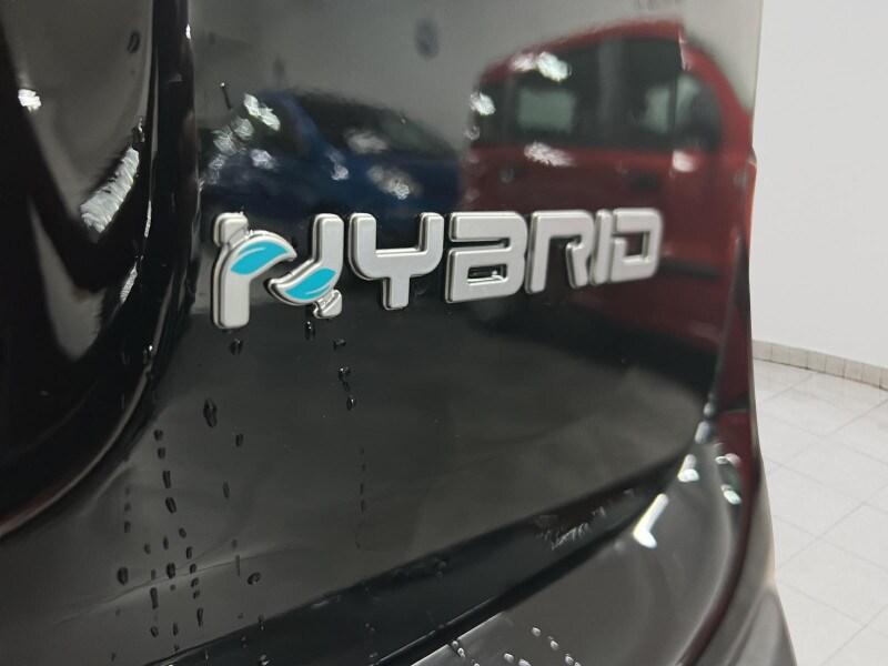 FIAT Pandina Pandina 1.0 FireFly 65 CV Hybrid Icon
