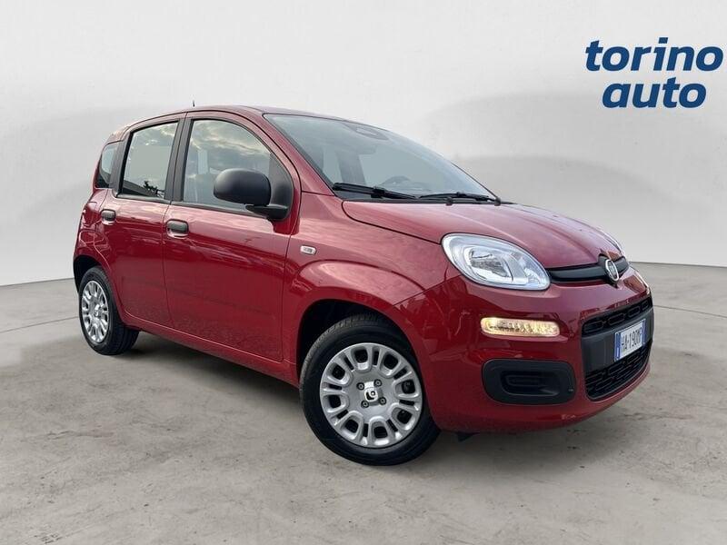 FIAT Pandina Pandina 1.0 firefly hybrid Icon s&s 70cv