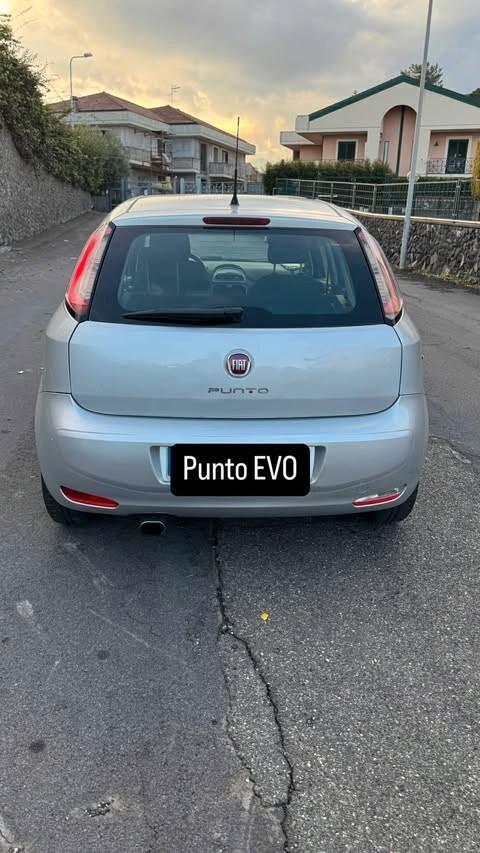 Fiat Punto Evo punto evo