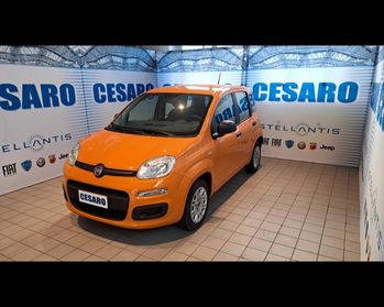 FIAT New Panda 1.2 69cv Easy s&s