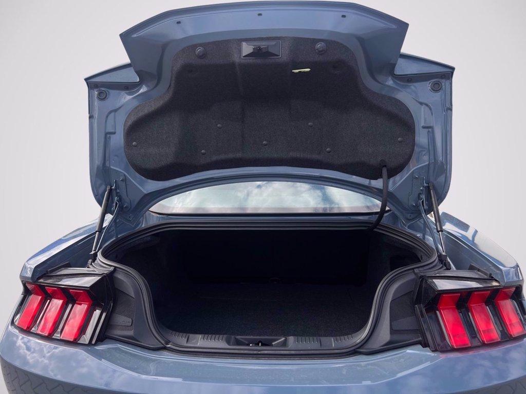 FORD Mustang Fastback 5.0 V8 Dark Horse 453cv auto del 2024
