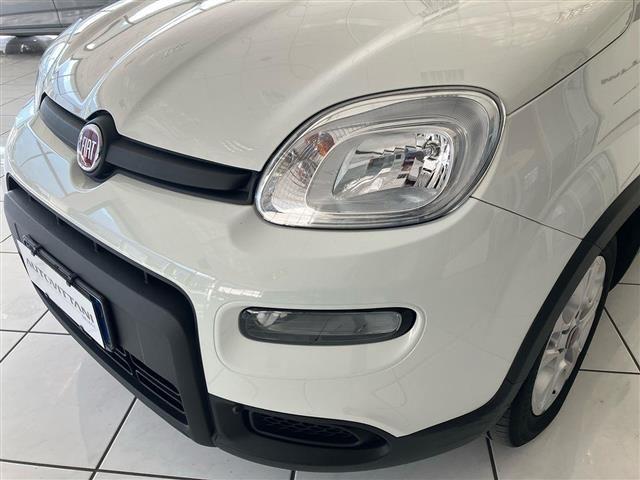FIAT Panda 1.0 FireFly Hybrid 70cv City Life S&S 5p.ti