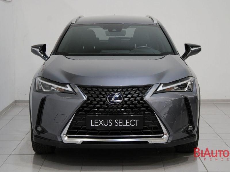 Lexus UX Hybrid 4WD Premium