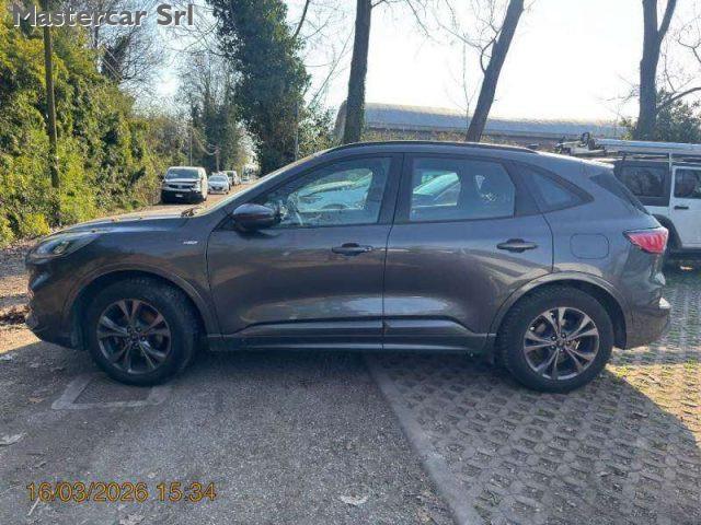 FORD Kuga Kuga 1.5 ecoblue ST-Line 2wd 120cv Auto - GJ998JE
