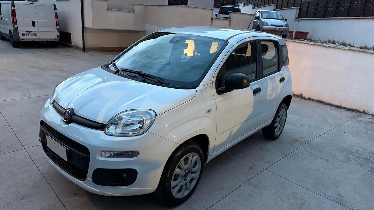Fiat Panda NATURAL POWER METANO BENZINA CLIMA UNIPRO'