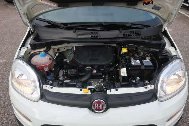 Fiat Panda Panda III 2021 1.0 firefly hybrid s&s